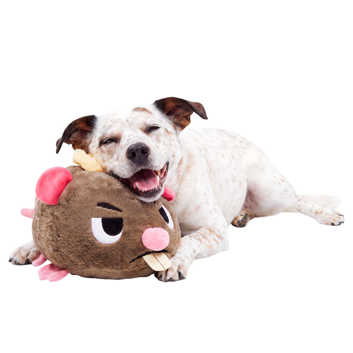 Sneaky Scabbers™ Plush Extra-Large + 3-in-1 Dog Toy