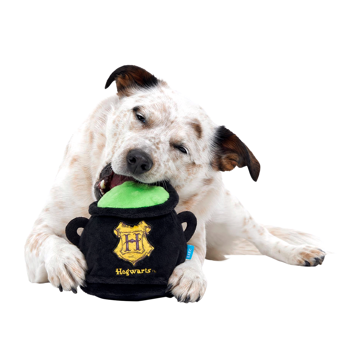 Cauldron Plush 2-in-1 Dog Toy