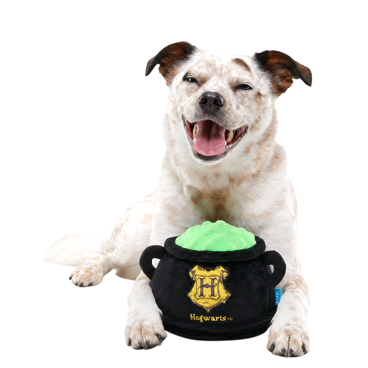 Cauldron Plush 2-in-1 Dog Toy