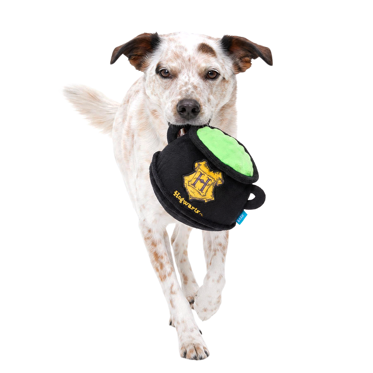 Cauldron Plush 2-in-1 Dog Toy