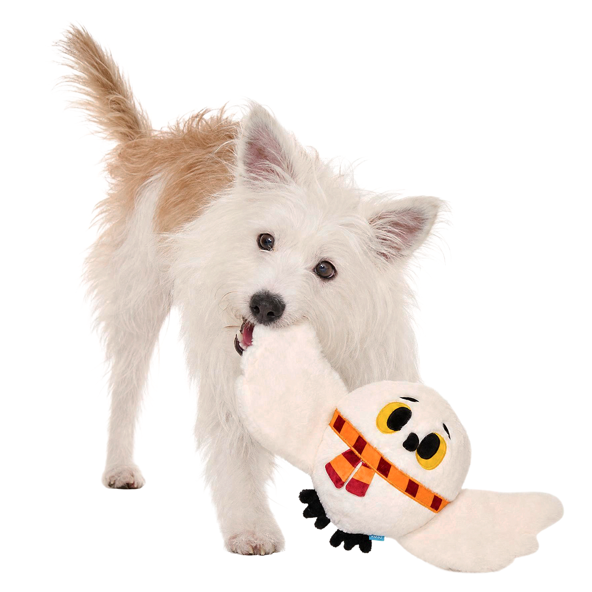 Hedwig™ Plush Extra-Large + Tug Dog Toy