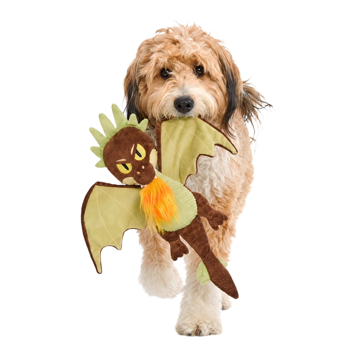 Hungarian Horntail Plush Extra-Large + Tug Dog Toy