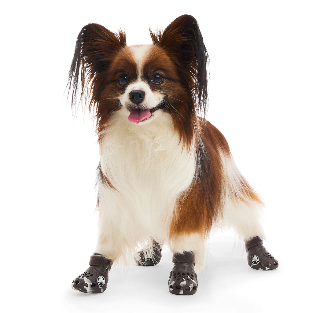 Crocs™ Shoes For Dogs