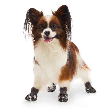 Crocs™ Shoes For Dogs#Color_Espresso