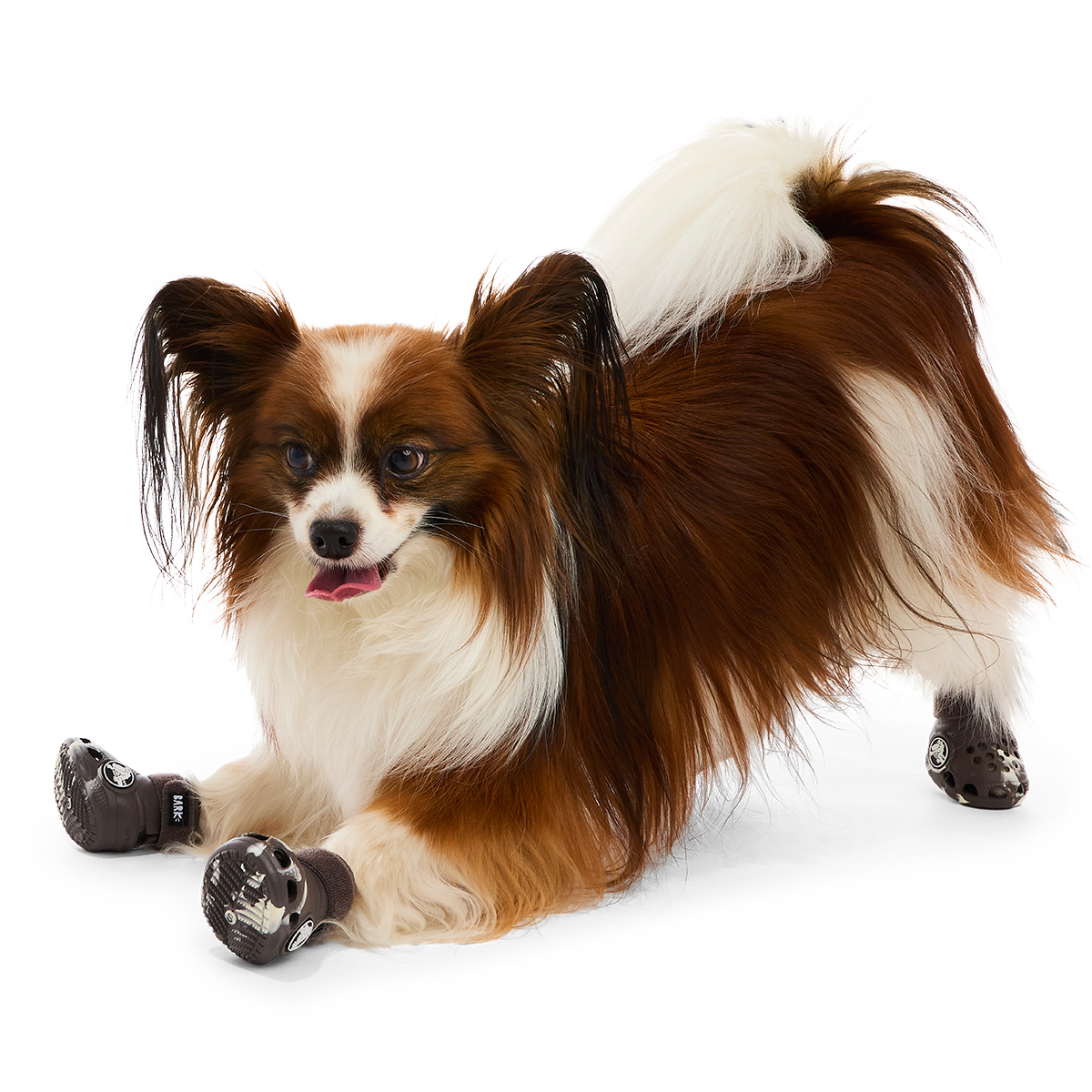 Crocs™ Shoes For Dogs#Color_Espresso