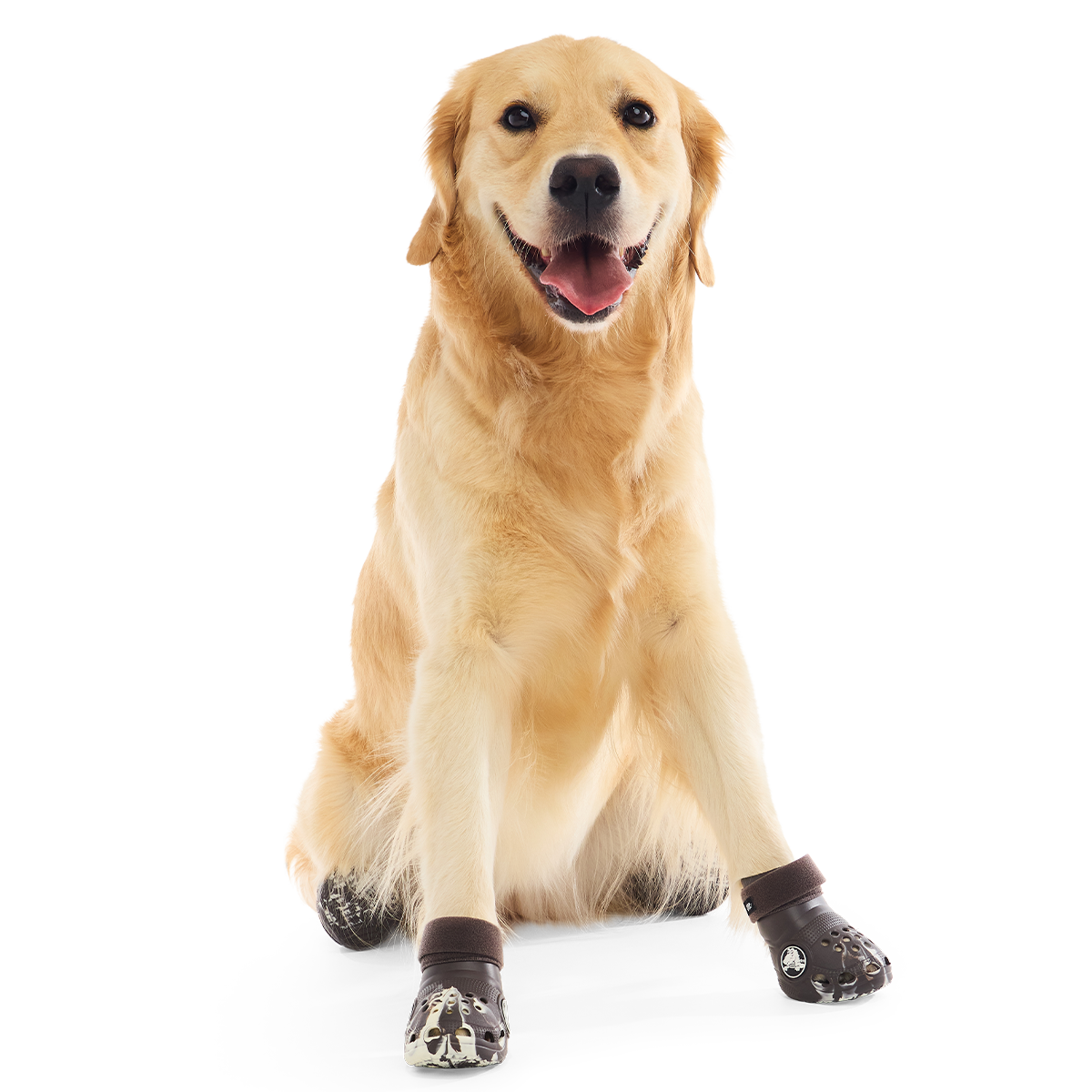 Crocs™ Shoes For Dogs#Color_Espresso