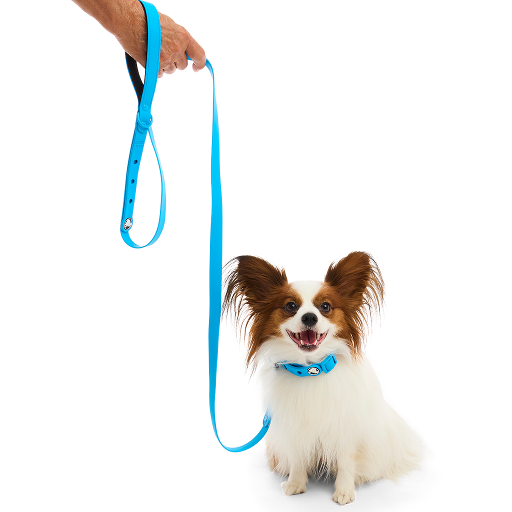 Crocs™ for Dogs Leash