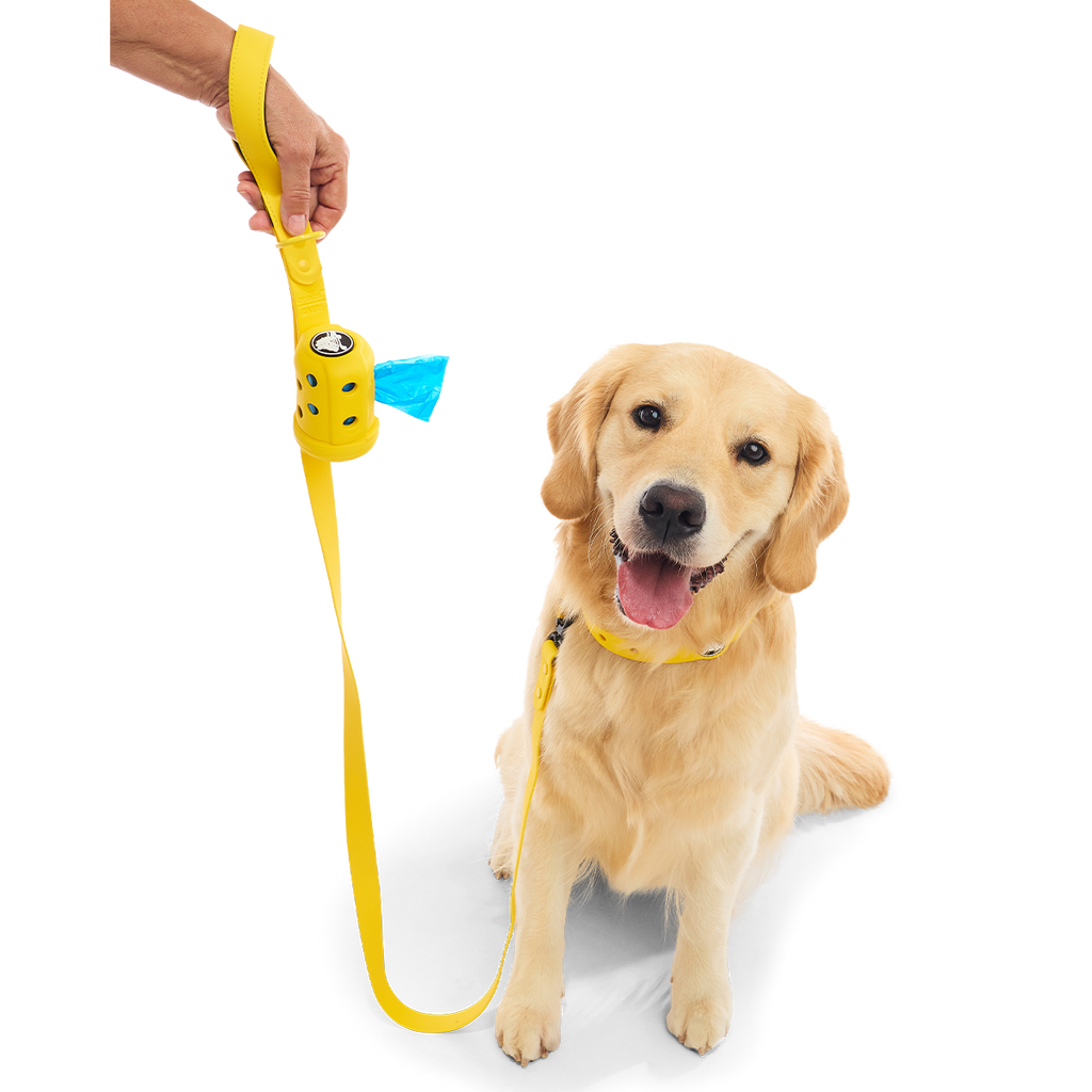 Crocs™ for Dogs Walking Gear Bundle, Sunflower