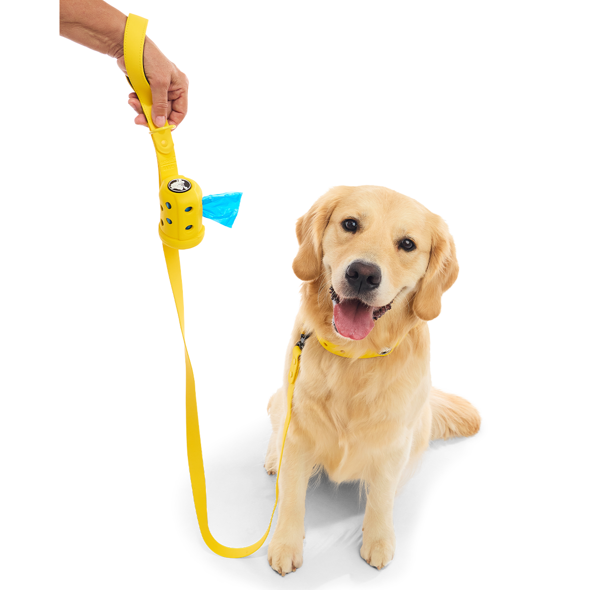 Crocs™ for Dogs Leash + Poop Bag Holder Bundle, Sunflower