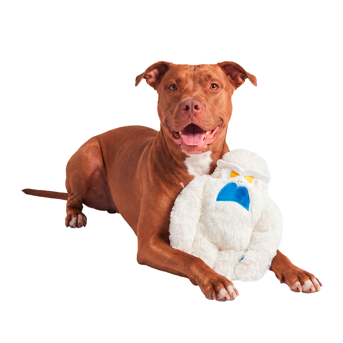 Snow Ghost™ Plush Tug Dog Toy