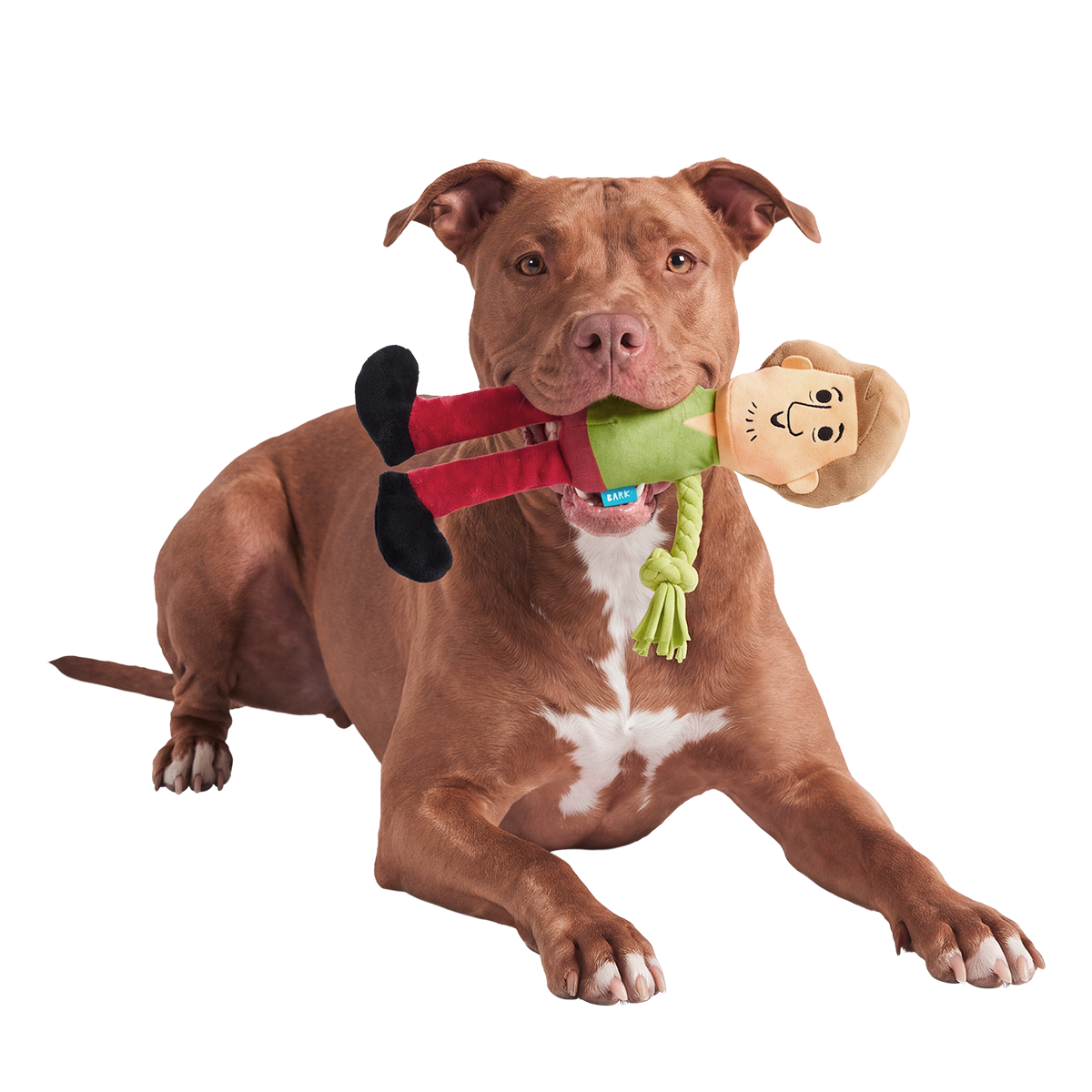 Ruh-Rope Shaggy™ Plush Tug Dog Toy