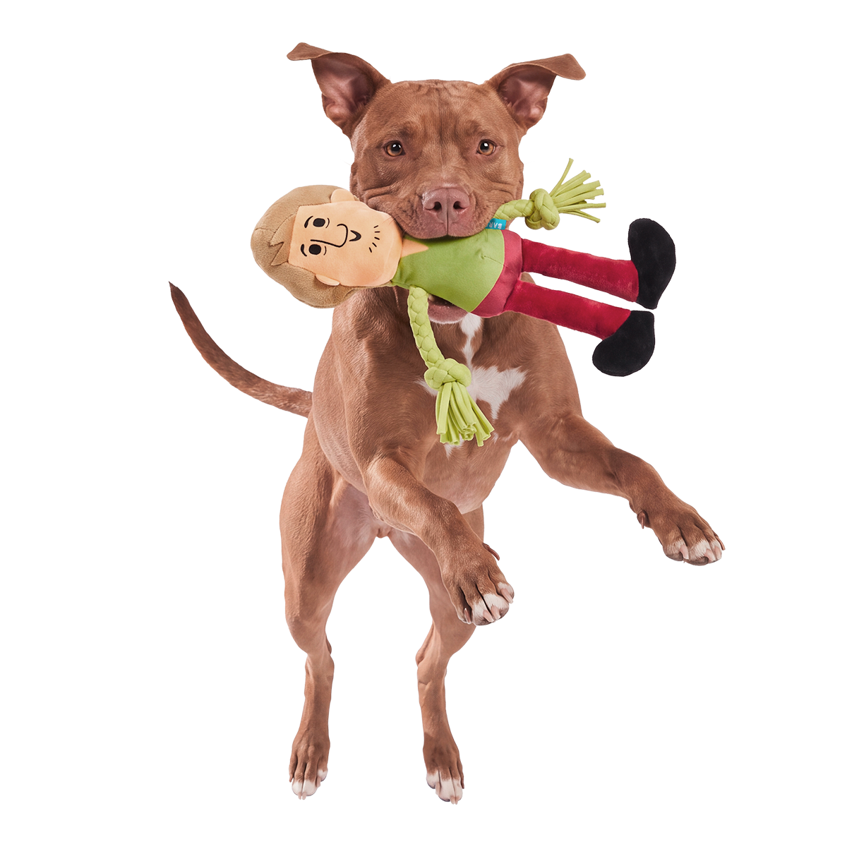 Ruh-Rope Shaggy™ Plush Tug Dog Toy