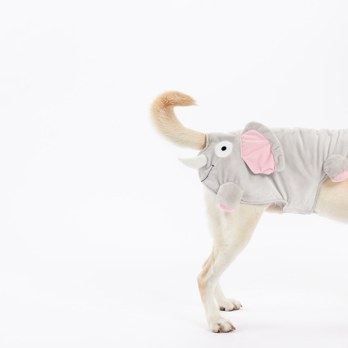 Elephant Dog Costume