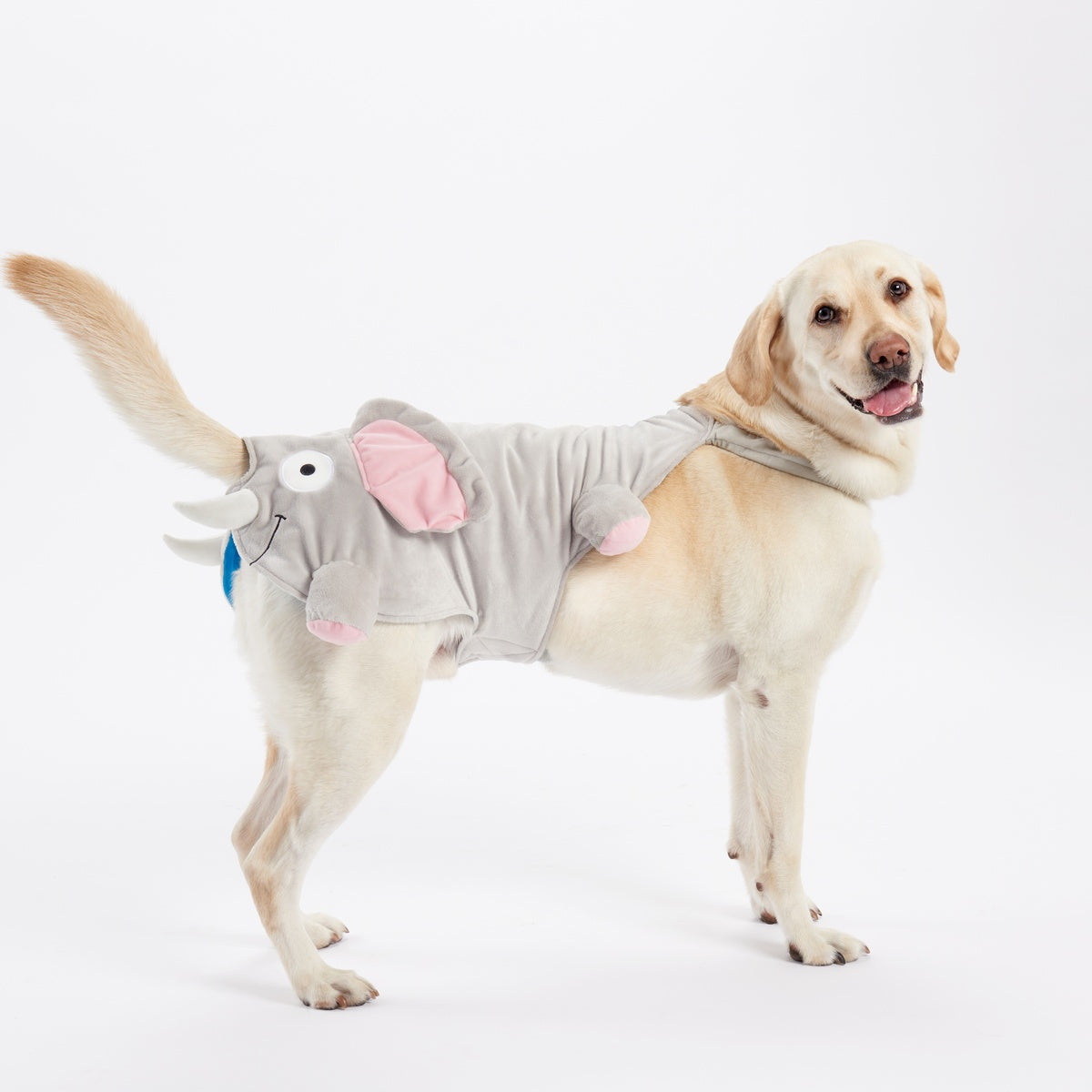 Elephant Dog Costume