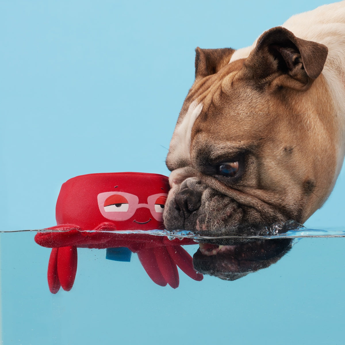 Crab Me A Drink Plush Enrichment Dog Toy