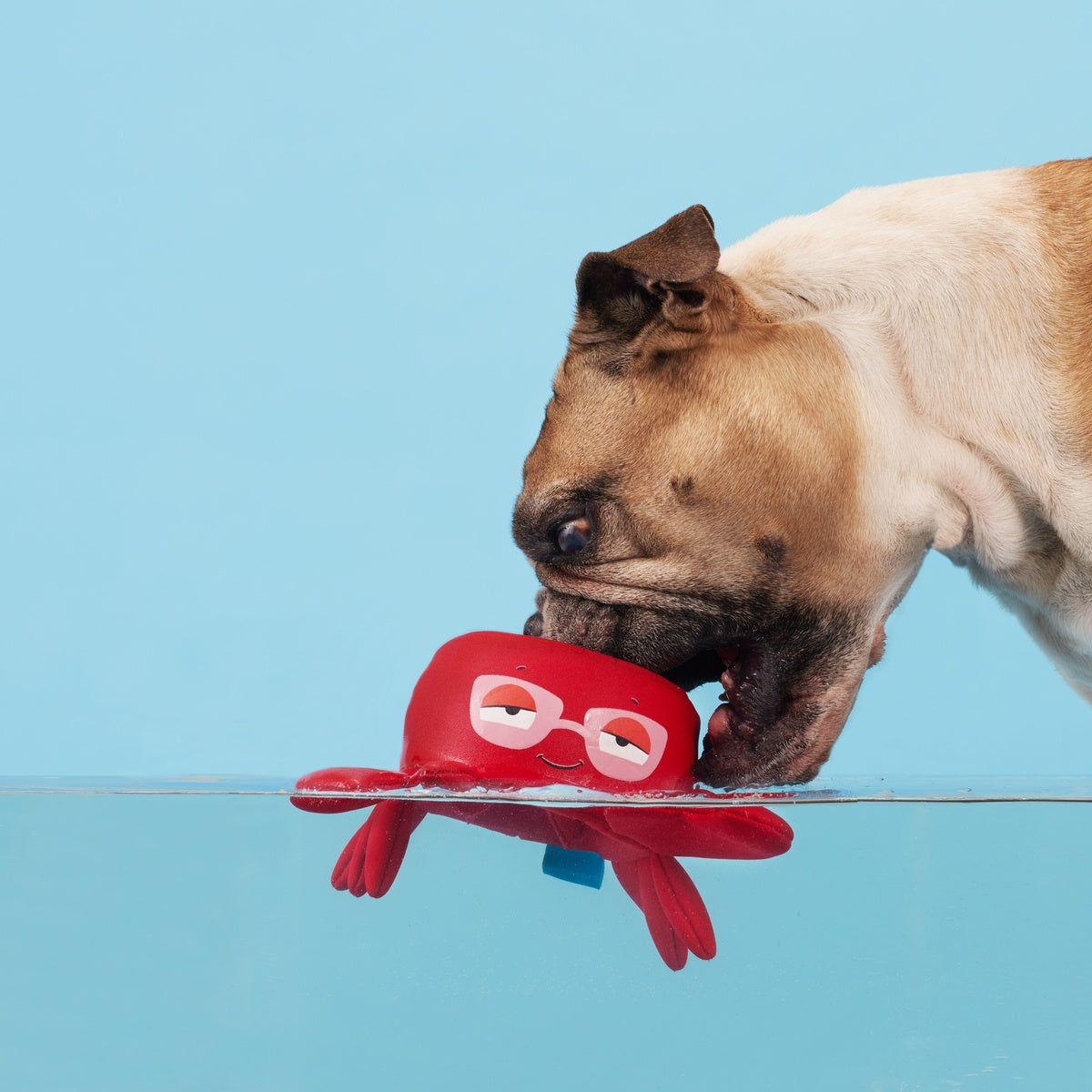 Crab Me A Drink Plush Enrichment Dog Toy