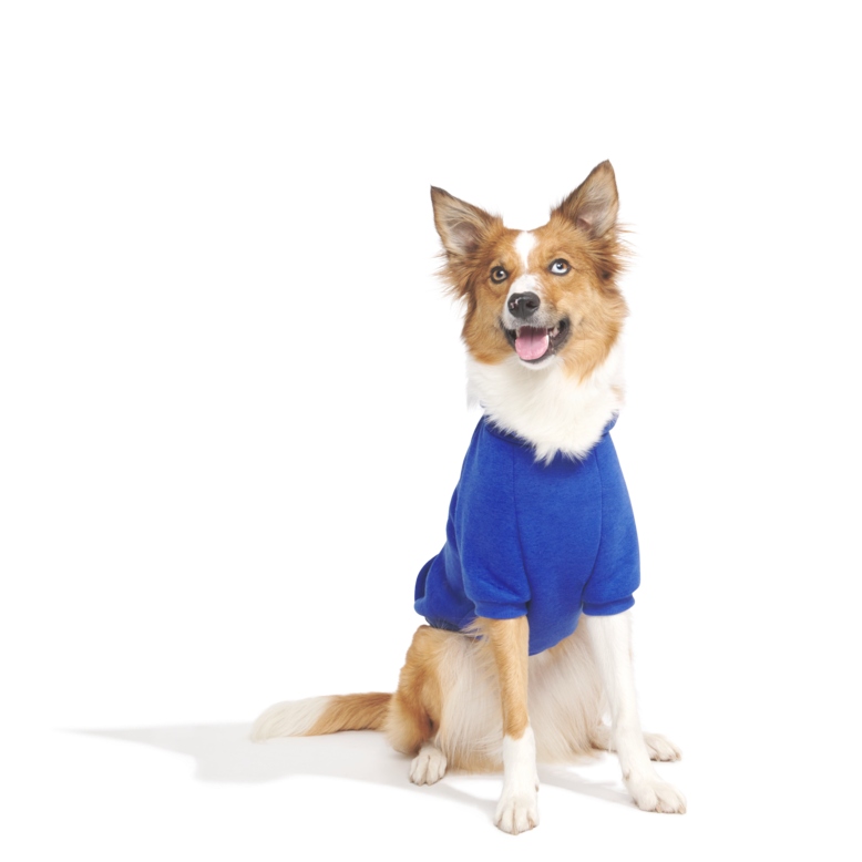 Bark to School Hoodie