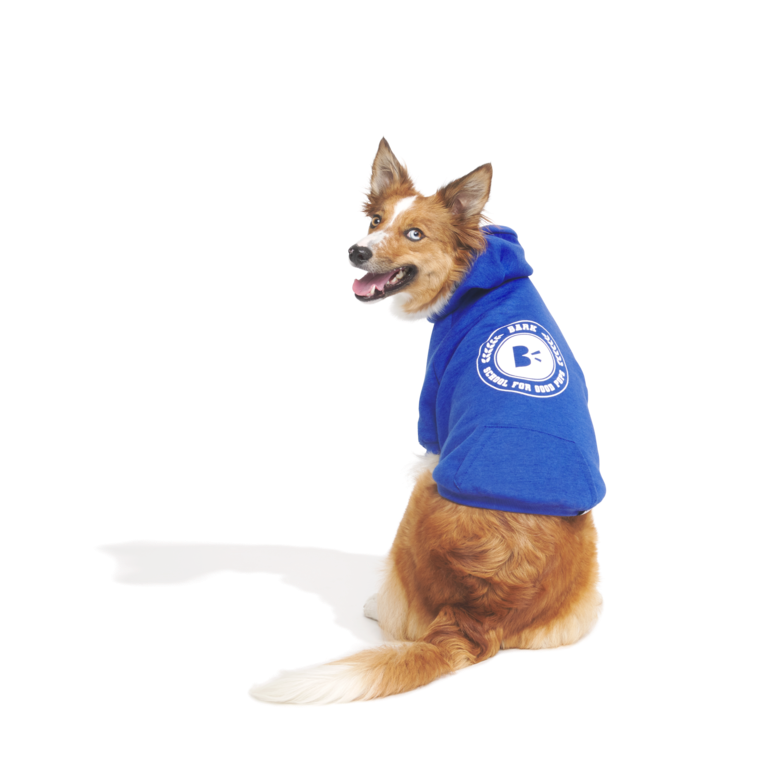 Bark to School Hoodie