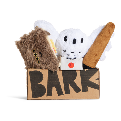 Barkbox Potter HARRY POTTER™ BarkBox - One Month Gift Box – BARK