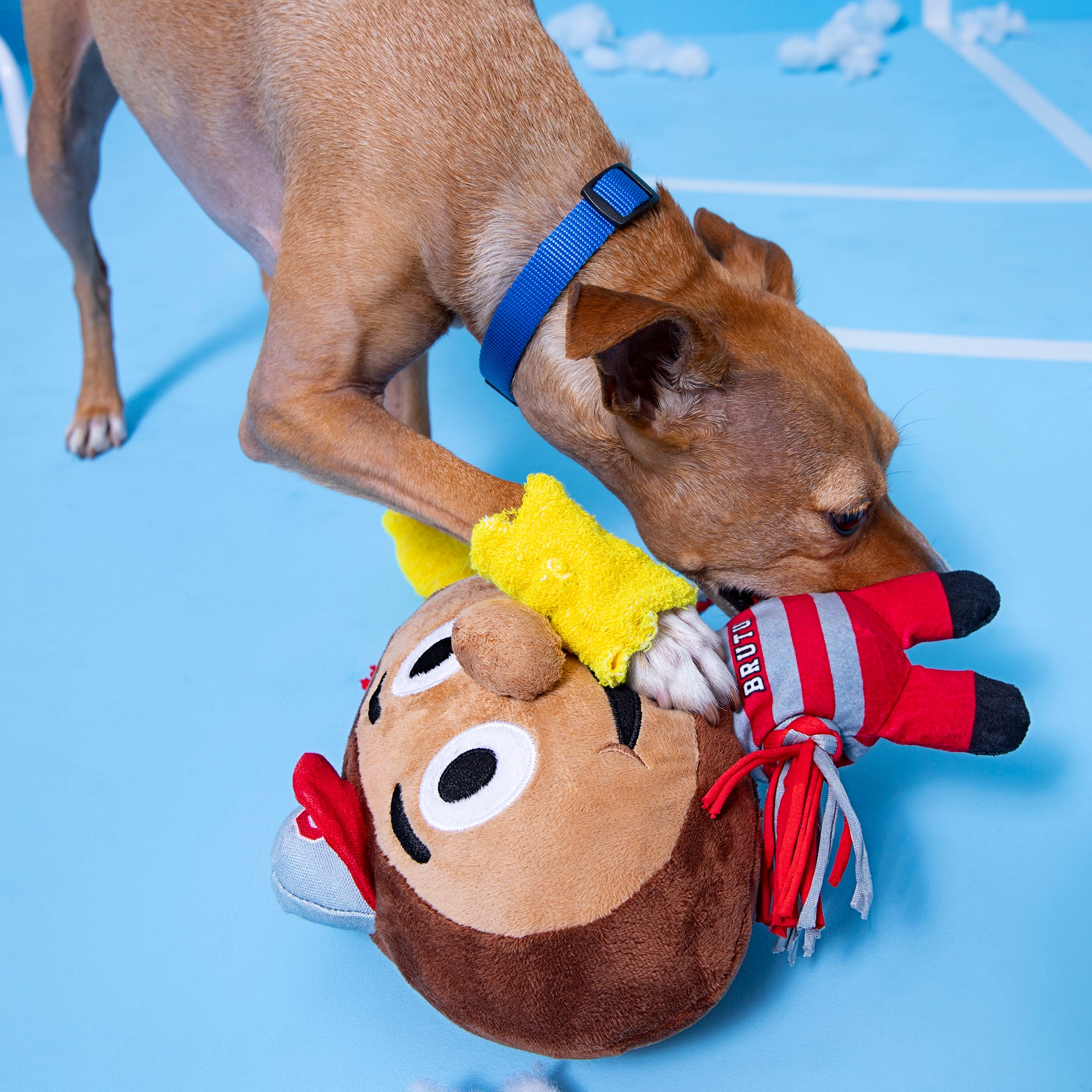 Brutus Buckeye Dog Toy