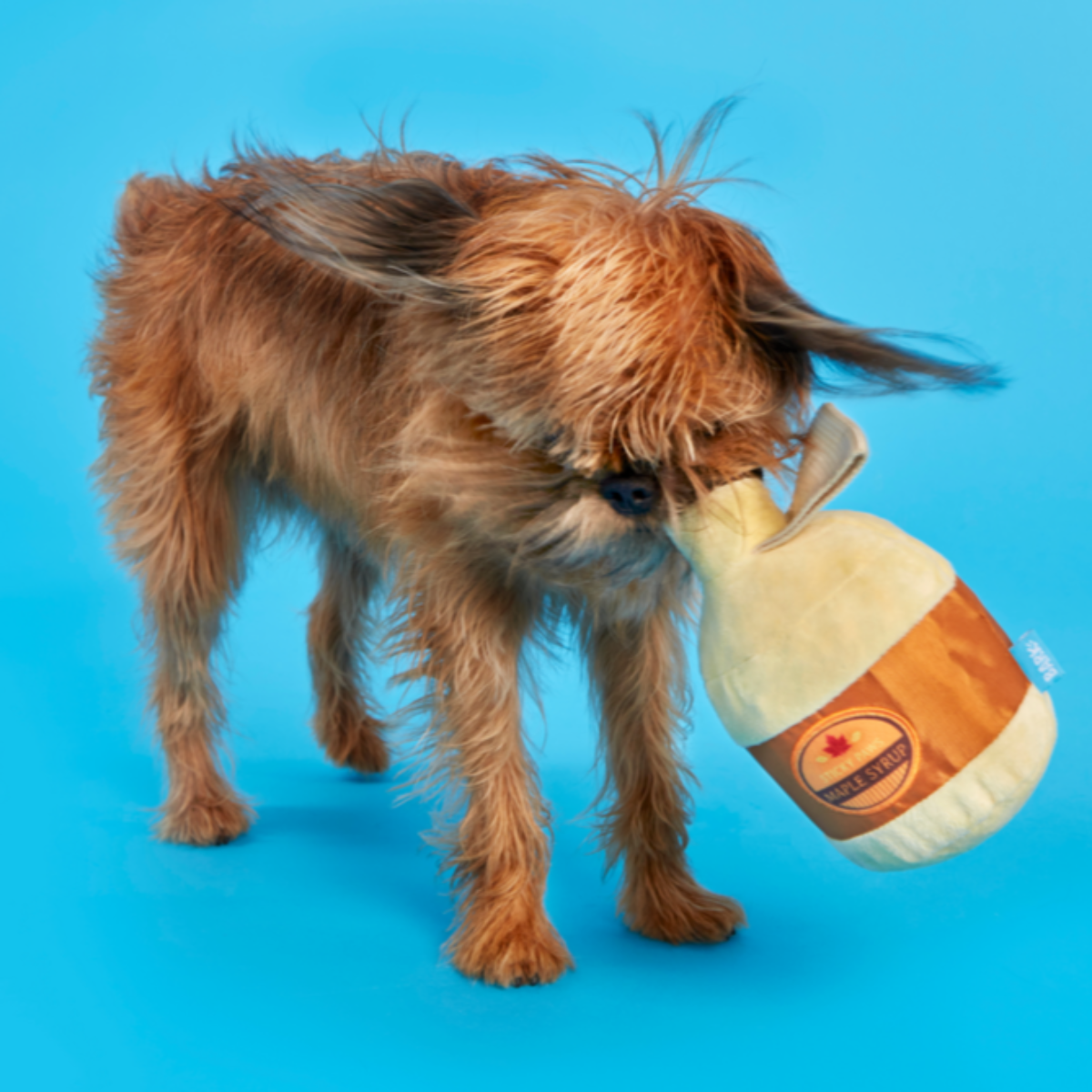 Sticky Paws Maple Syrup