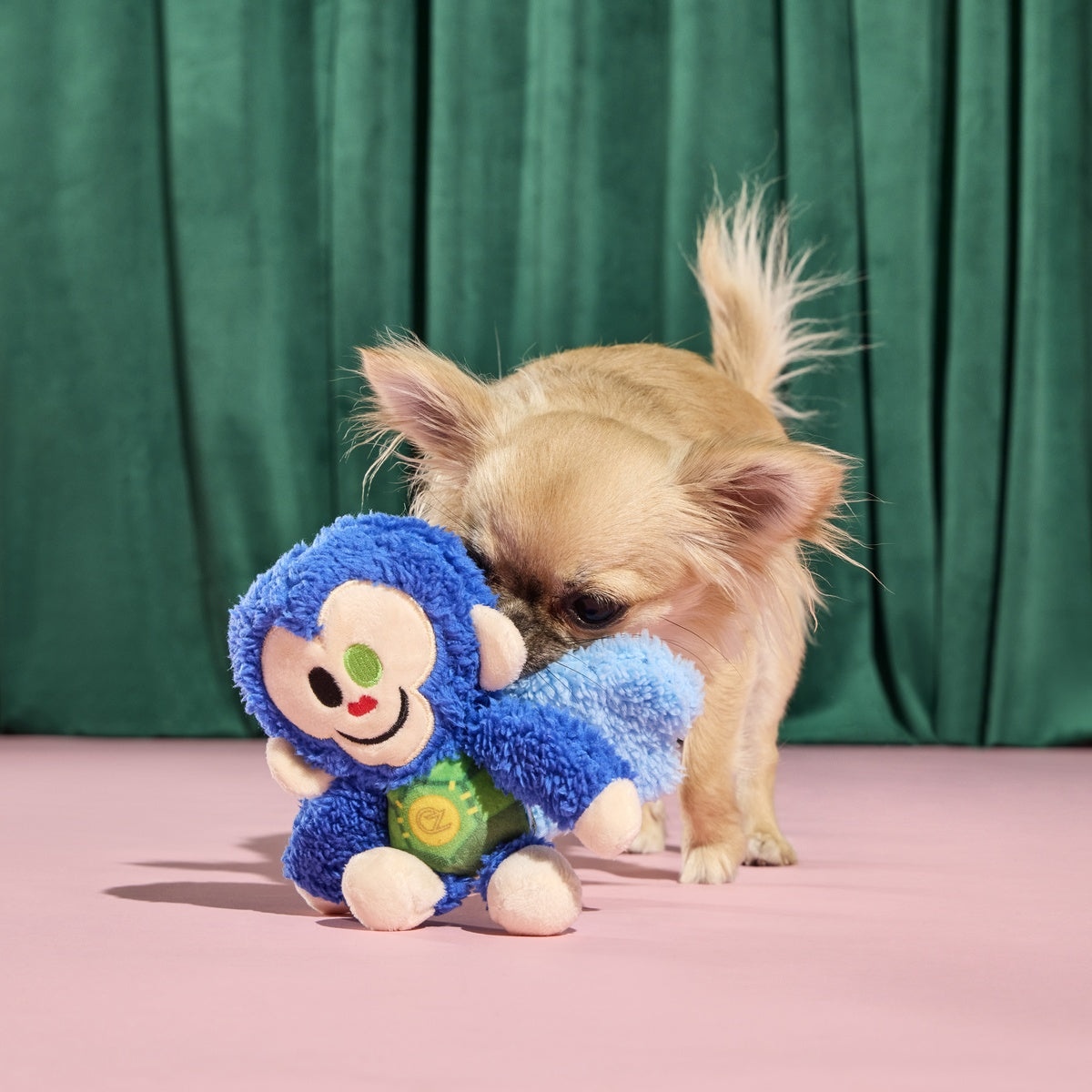 Defying Gravity Chistery Plush Tug Dog Toy – BARK