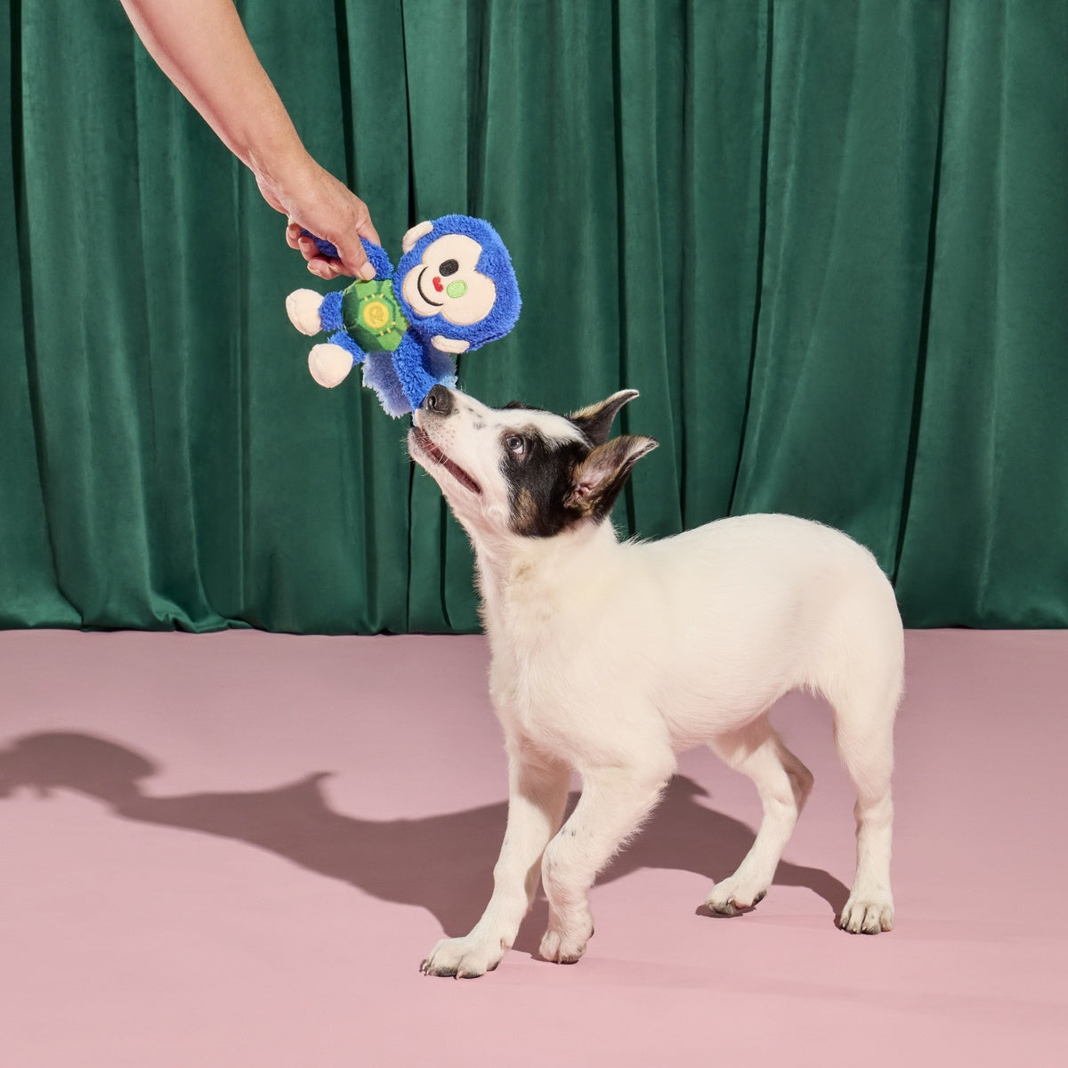 Defying Gravity Chistery