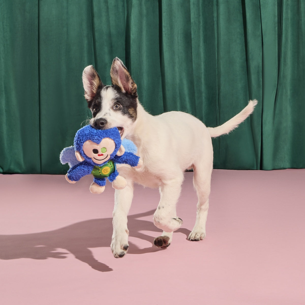 Defying Gravity Chistery Plush Tug Dog Toy – BARK