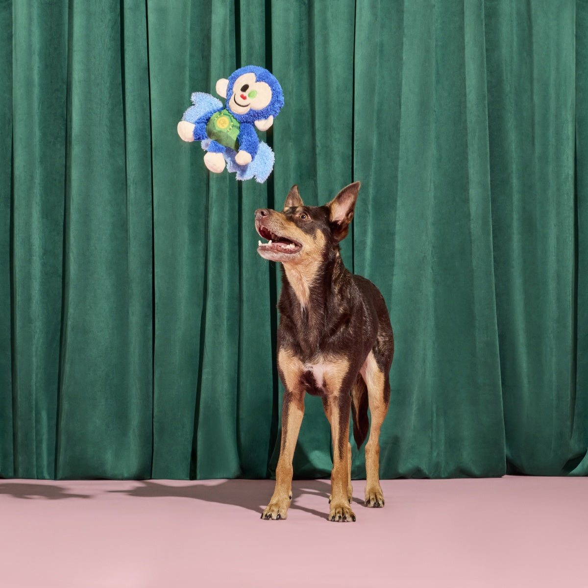 Defying Gravity Chistery