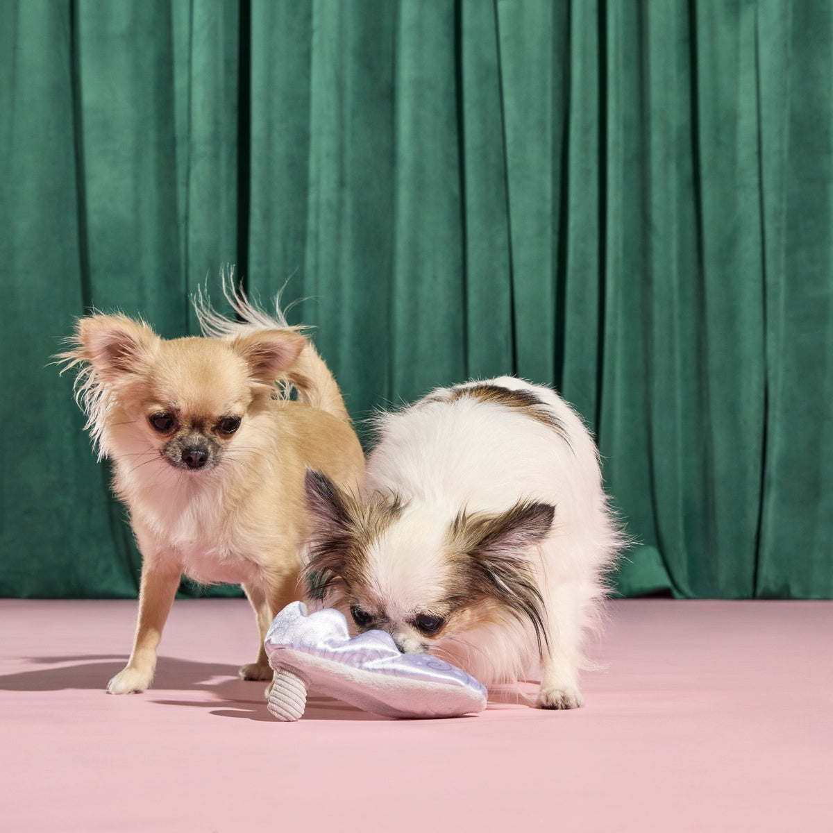 Nessa's Squeakin' Slipper