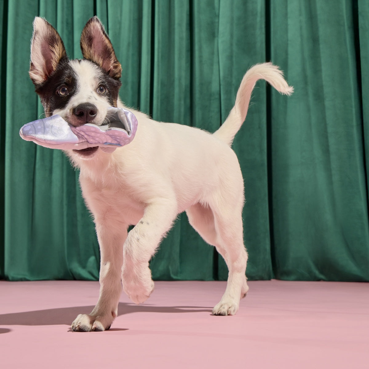 Nessa's Squeakin' Slipper