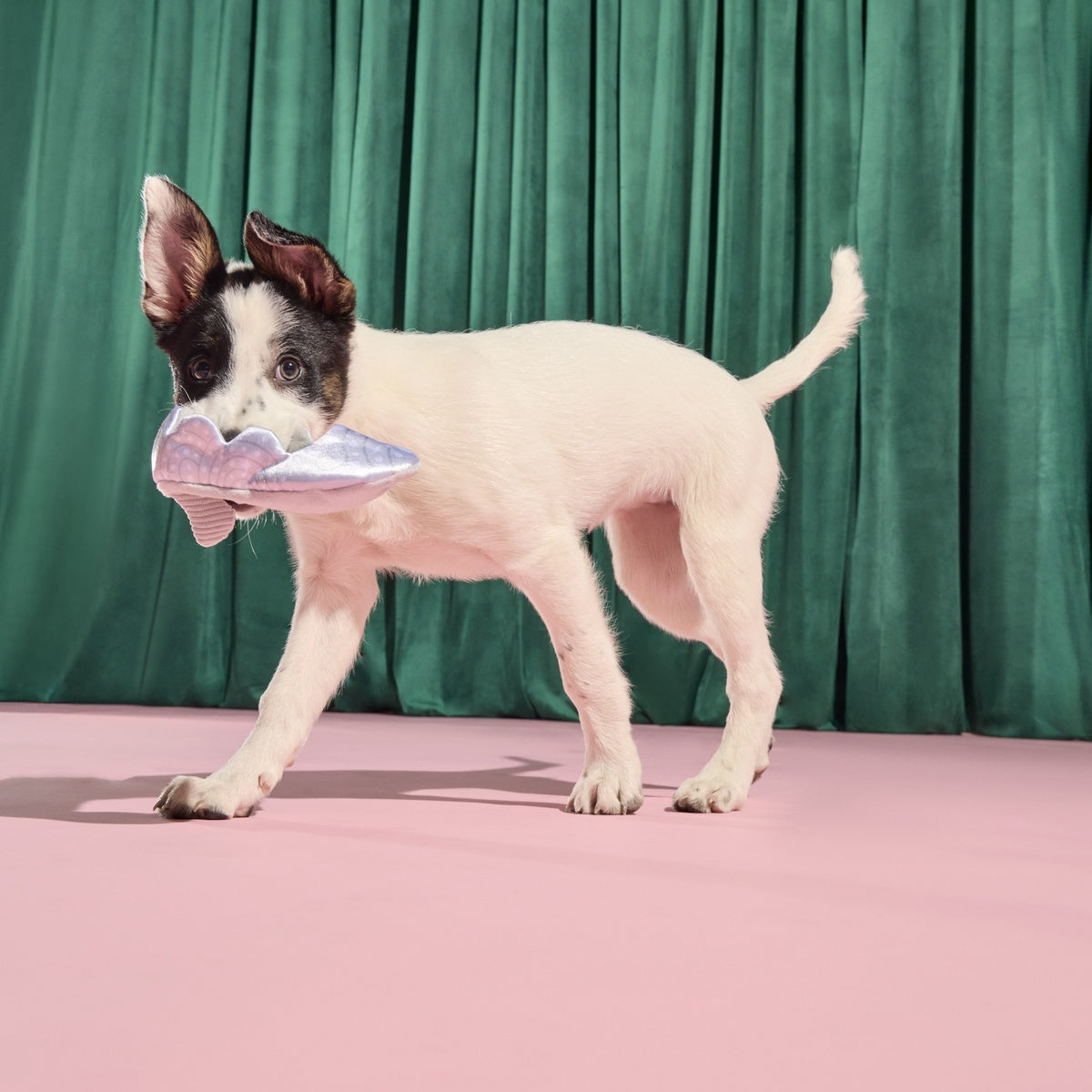 Nessa's Squeakin' Slipper