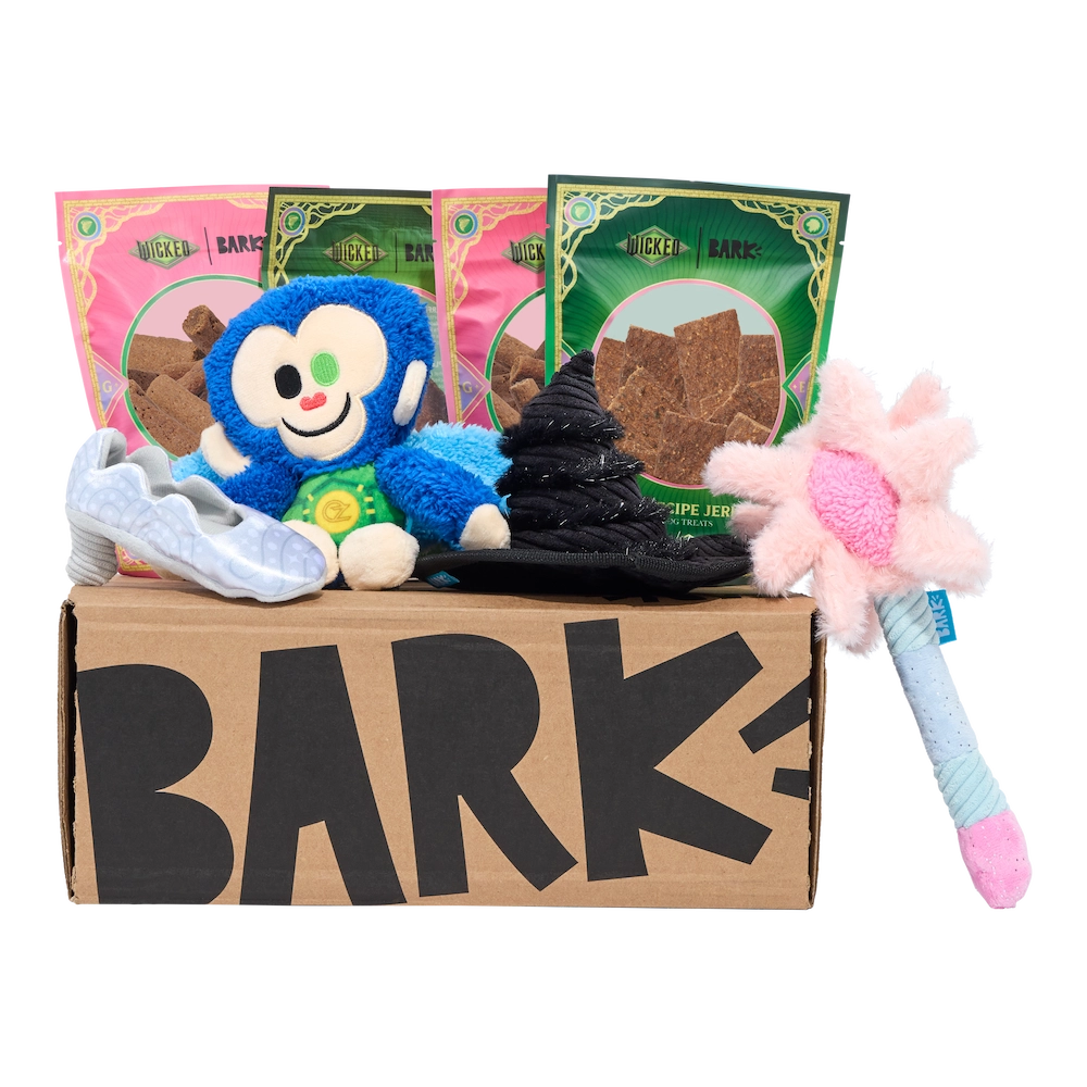 BARK 12 Month Subscription - Wicked Double Deluxe First Box