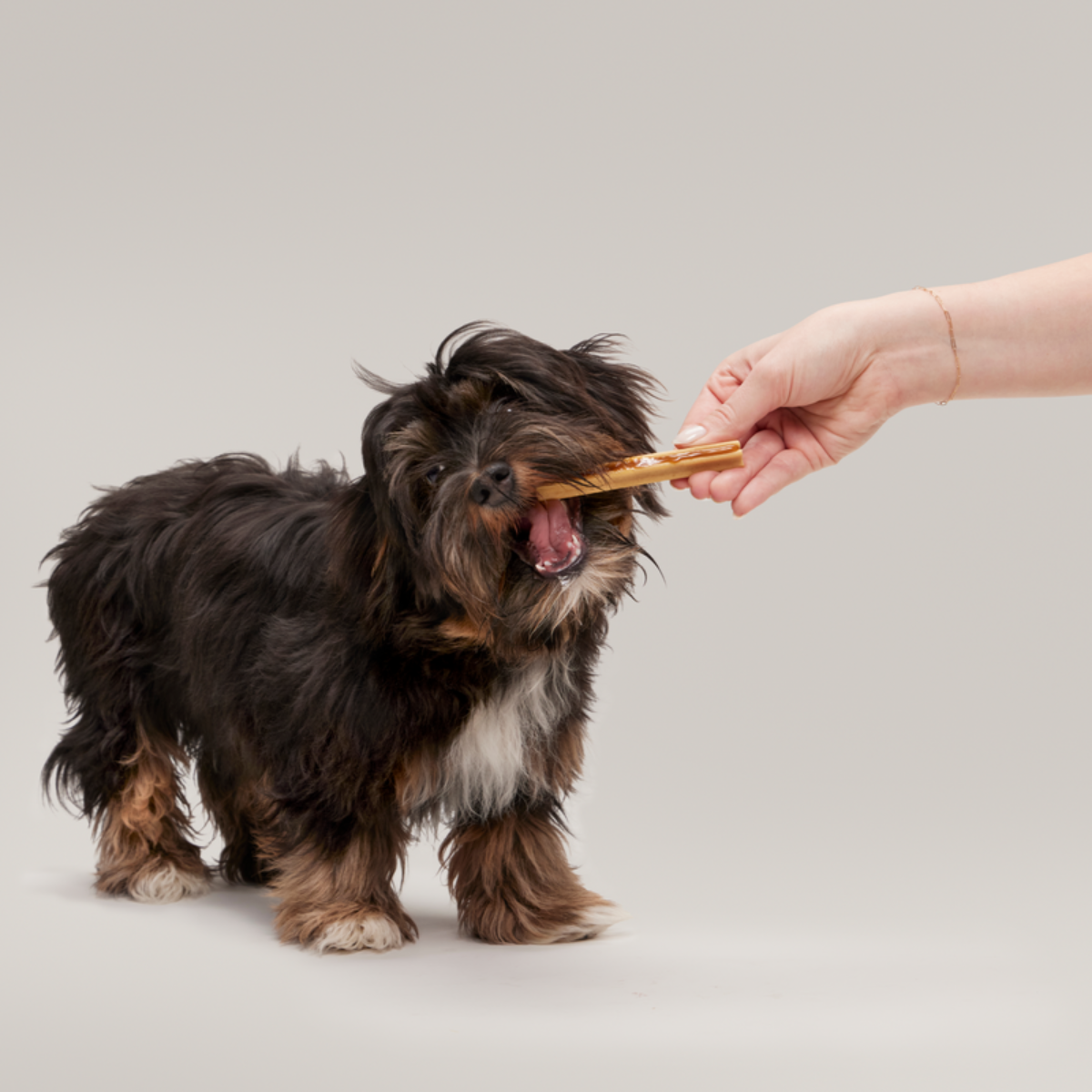 Bright Dental Chews