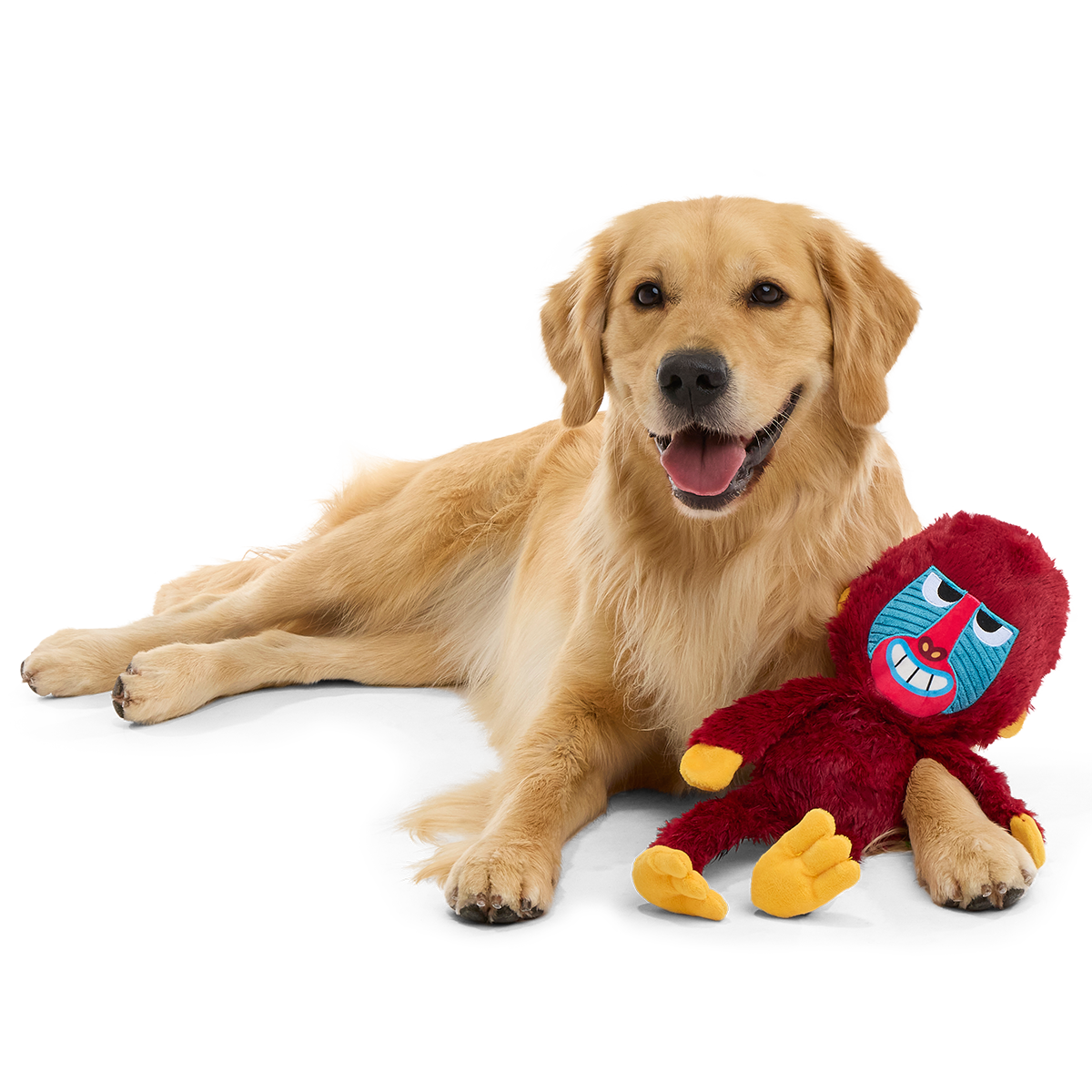 Babu Baboon Plush Extra-Large + Tug Dog Toy