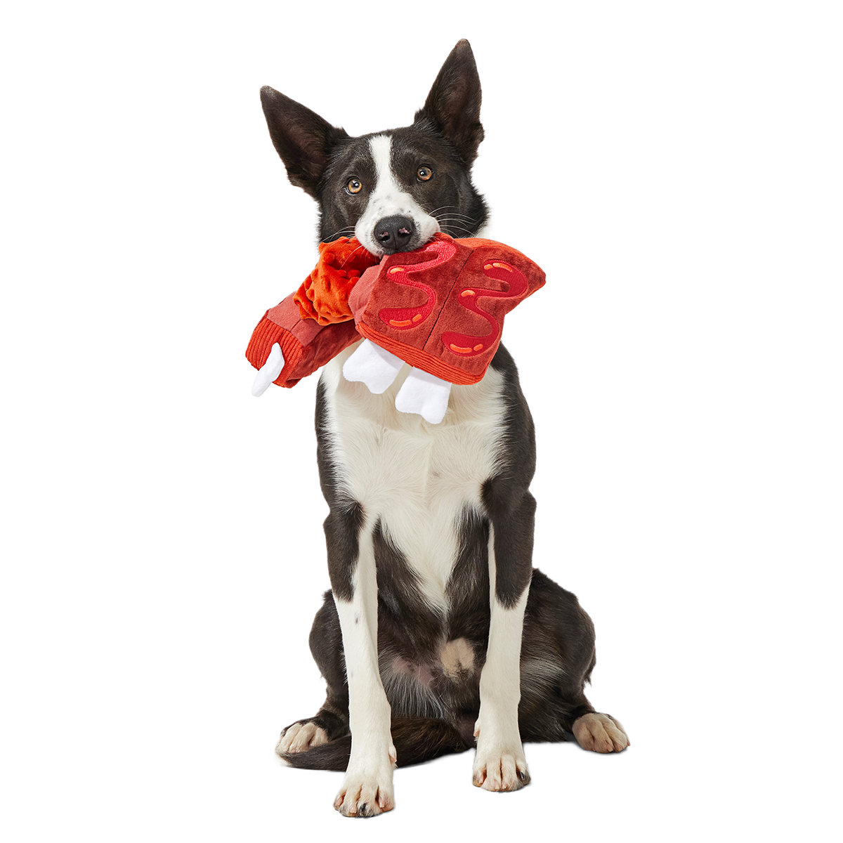 Baby Bark Ribs Plush Tug Dog Toy