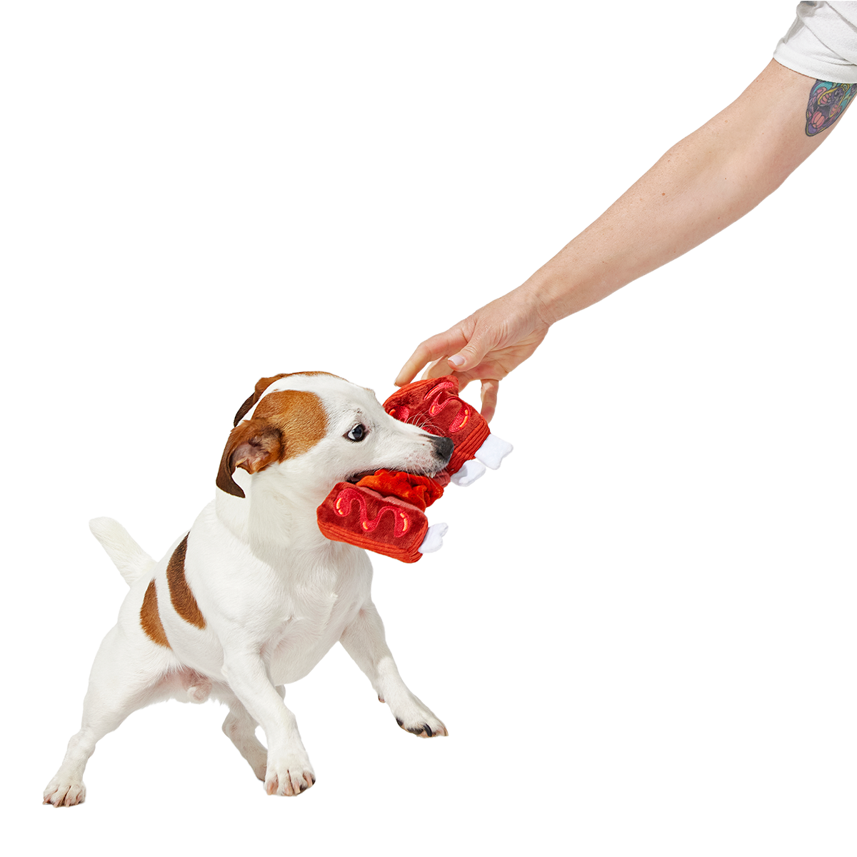 Baby Bark Ribs Plush Tug Dog Toy