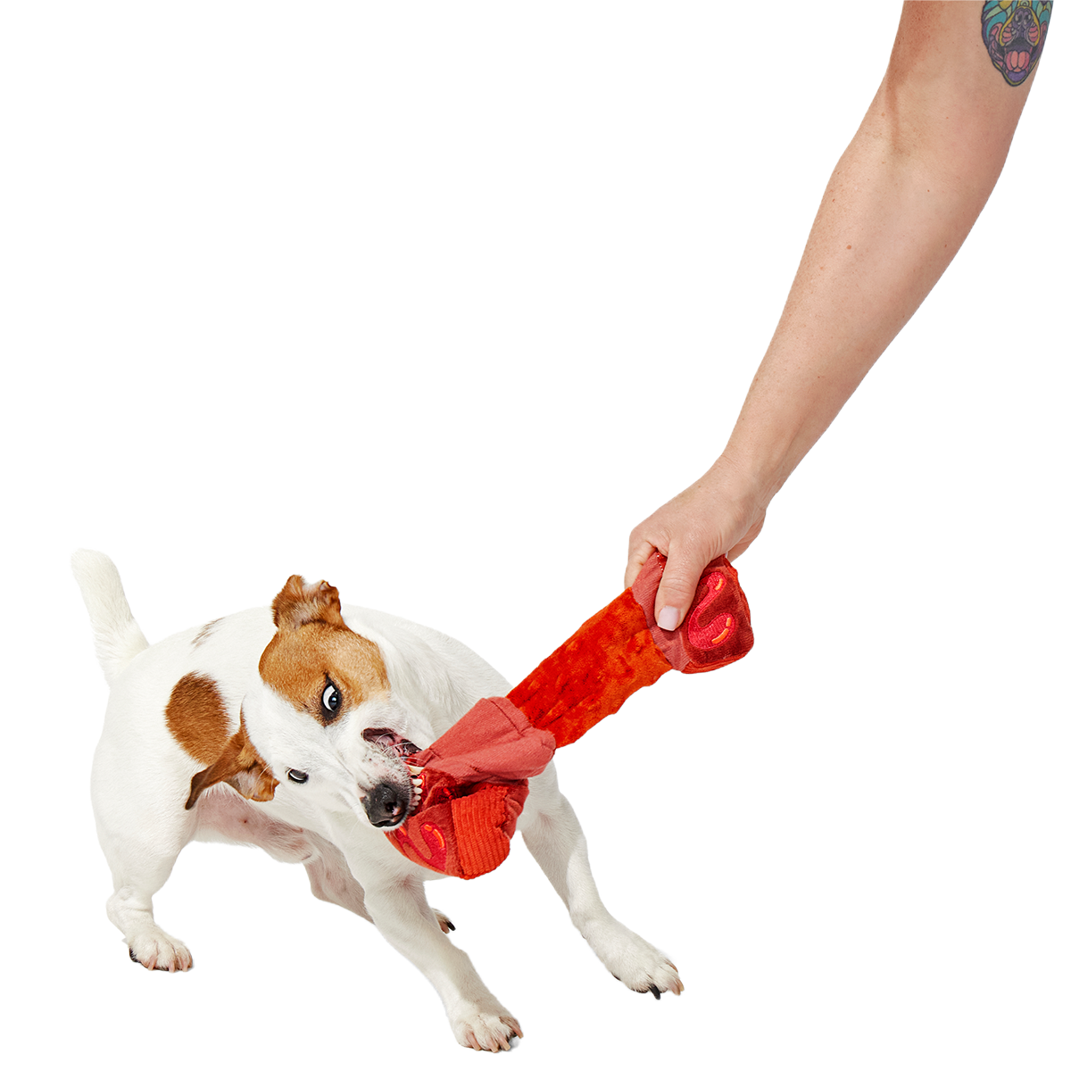 Baby Bark Ribs Plush Tug Dog Toy
