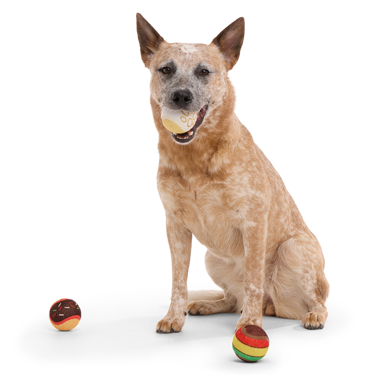 Ballscoti Cookies Plush Multi-Part Fetch Dog Toy