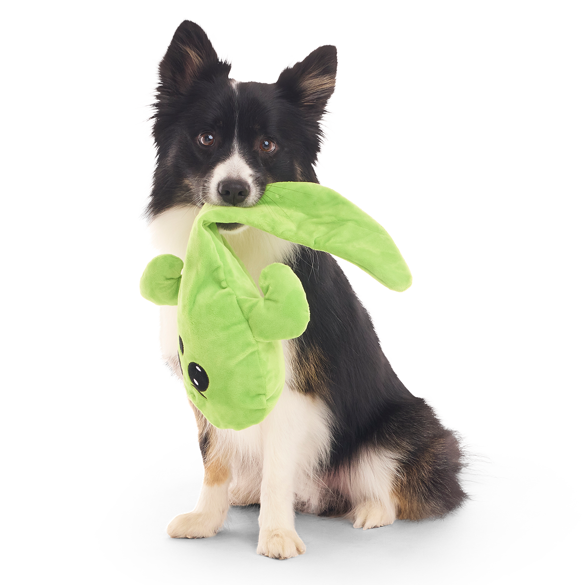 Balltergeist Plush Extra-Large + Tug Dog Toy