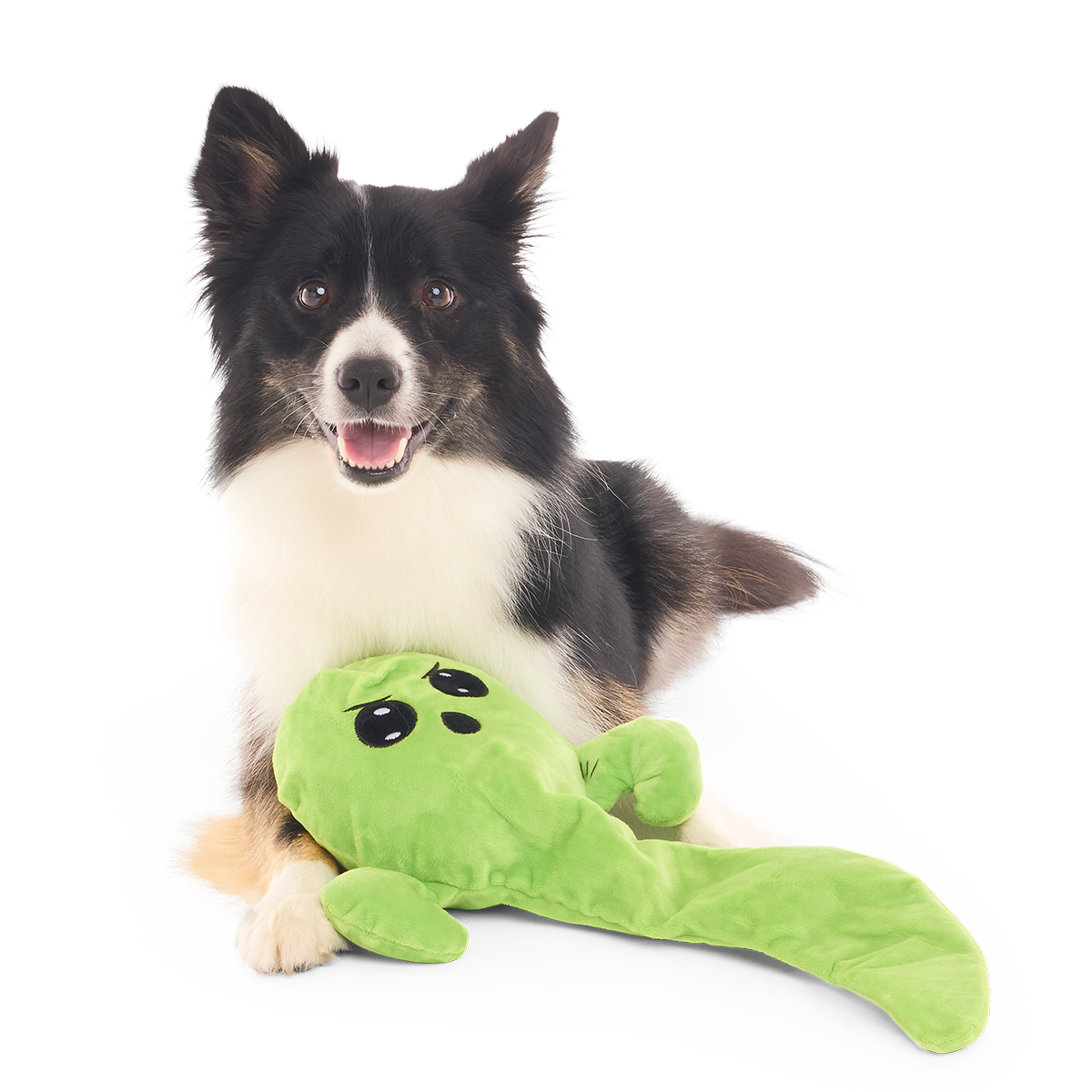 Balltergeist Plush Extra-Large + Tug Dog Toy