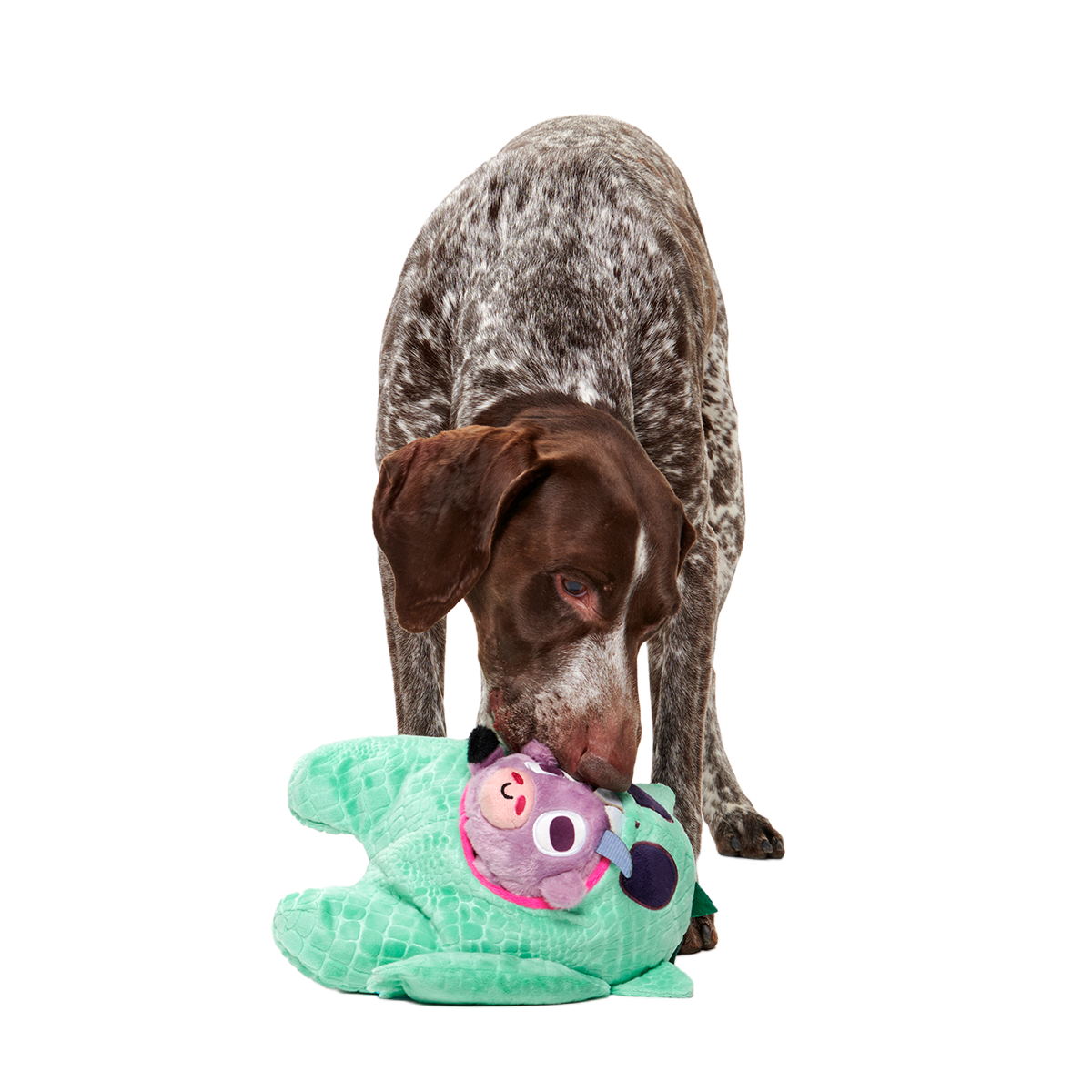 Barbara Chupacabra Plush Multi-Part Enrichment + Tug Dog Toy