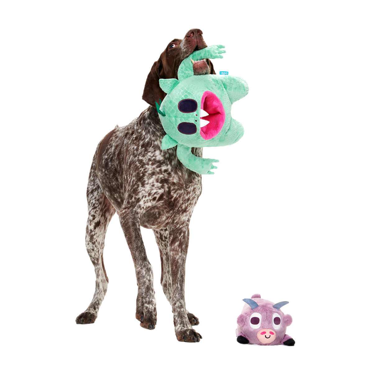 Barbara Chupacabra Plush Multi-Part Enrichment + Tug Dog Toy