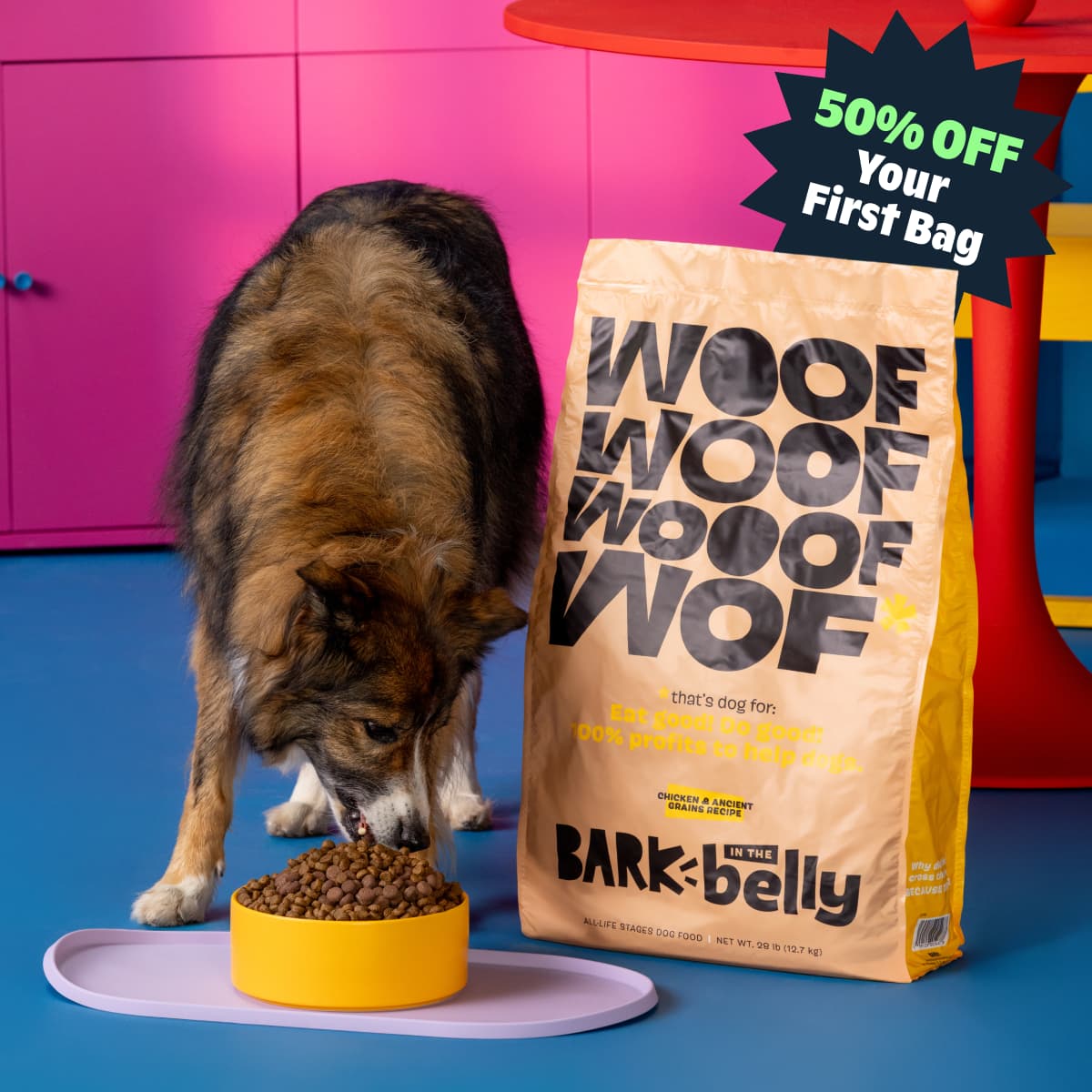 Bark In The Belly Chicken & Ancient Grains Dog Food | 100% Profits