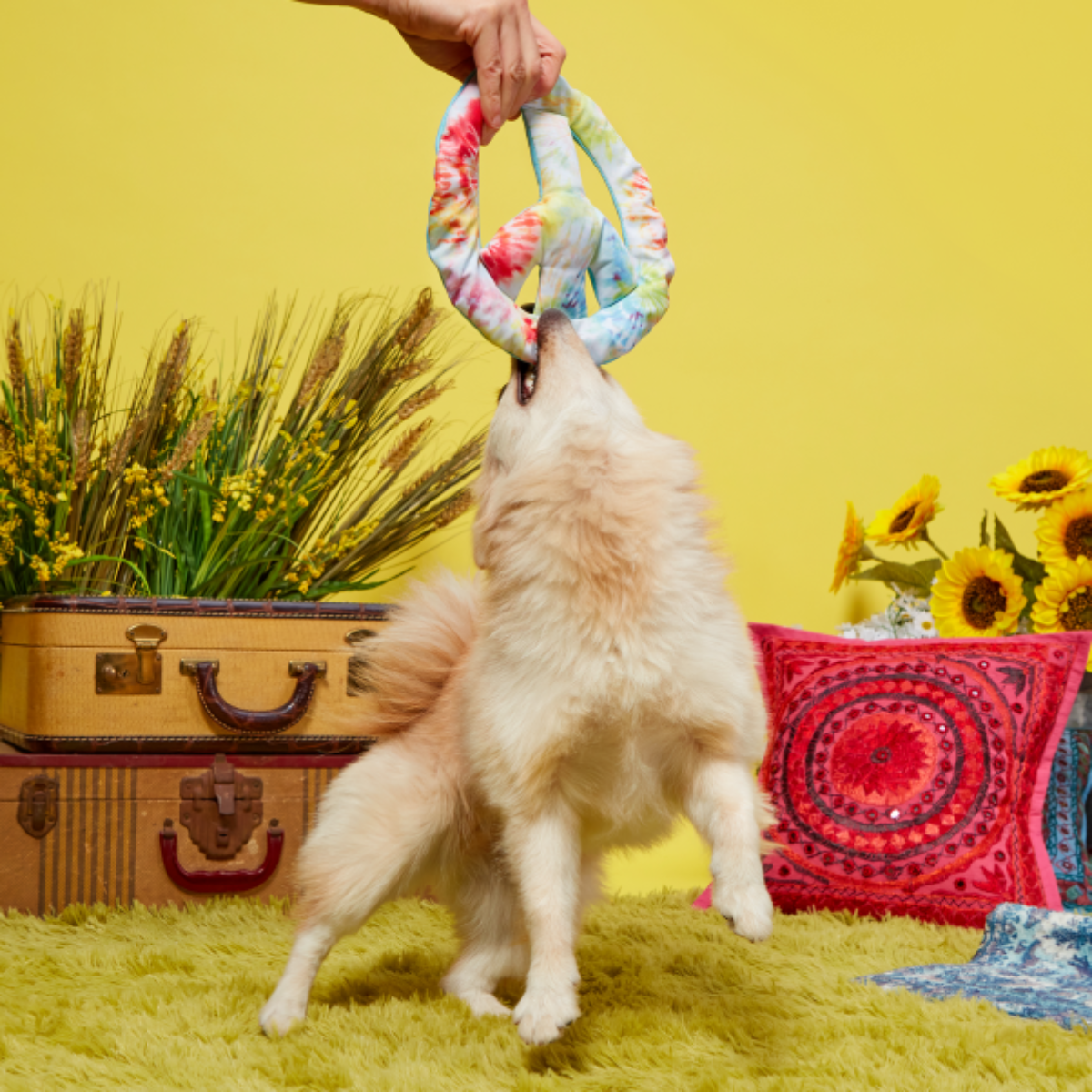 Give Peace a Tug Plush Dog Toy