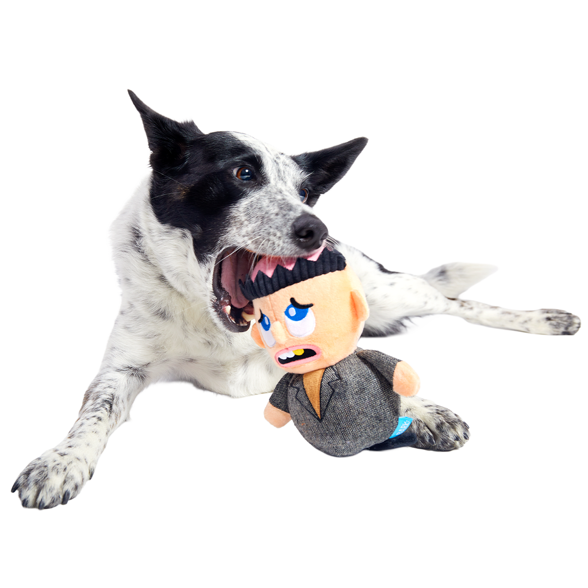 Harry Plush Tug Dog Toy