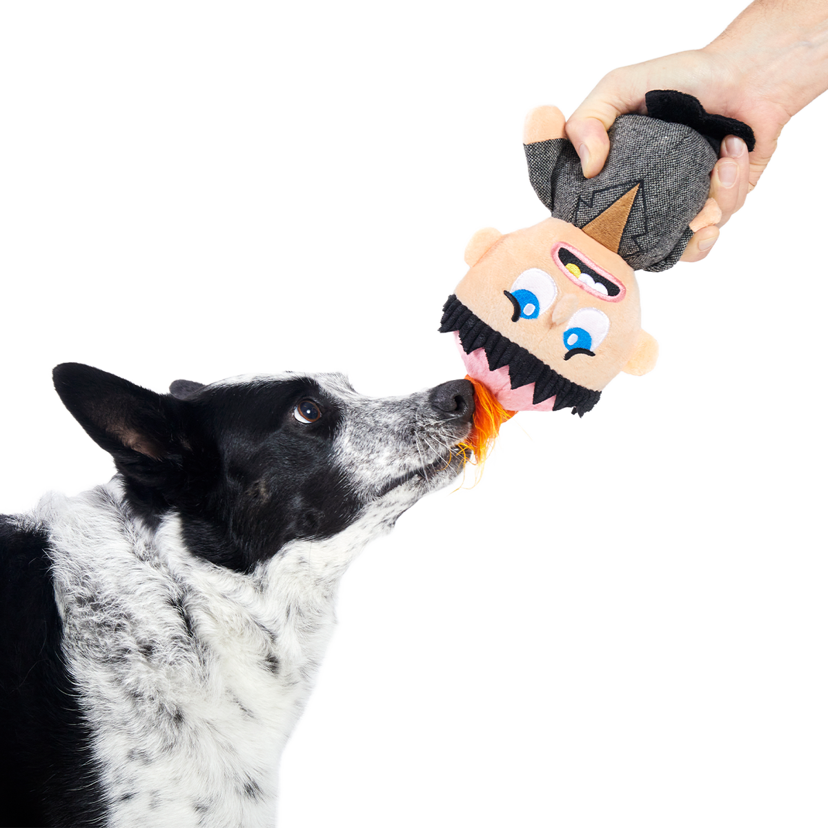 Harry Plush Tug Dog Toy