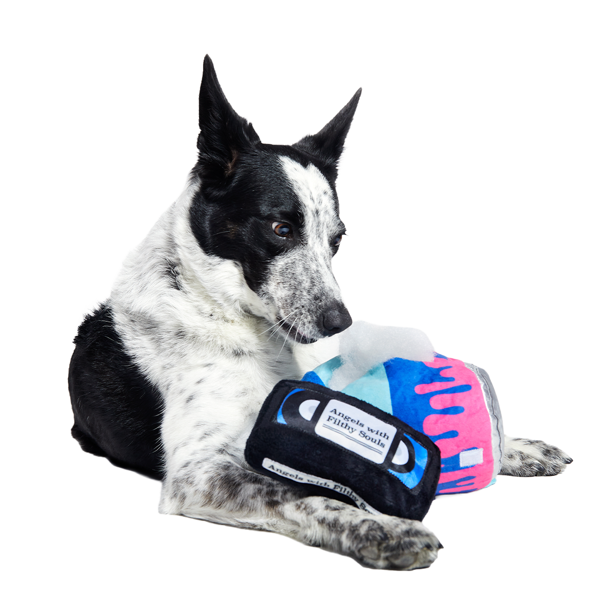 Kevin's Paint Can Plush 2-in-1 + Tug Dog Toy