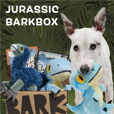 BARK Dog Subscription Box | Dog Toys, Treats, & Fun Delivered