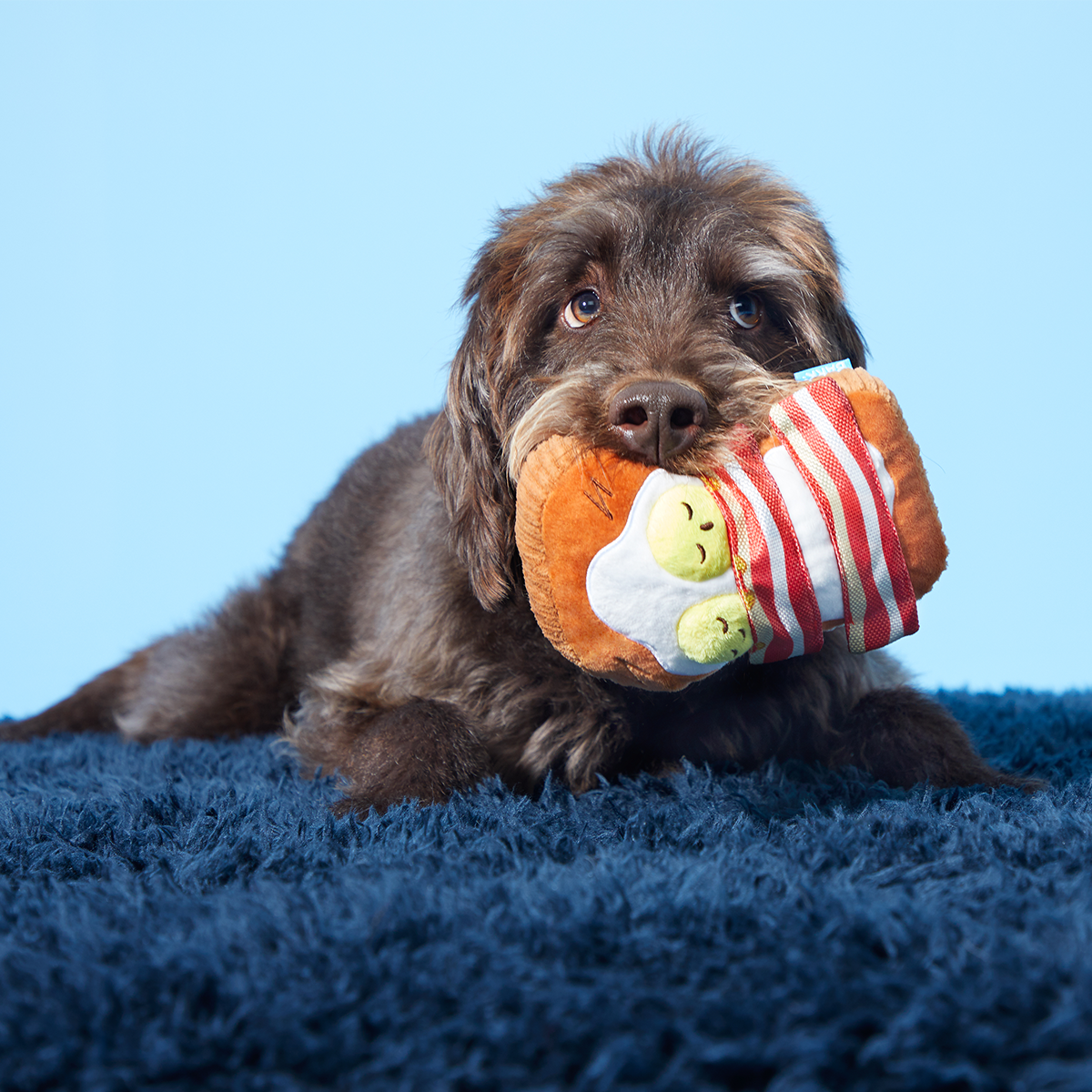 Barkfest In Bed Plush Dog Toy